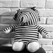 Grzegorz Przebierała