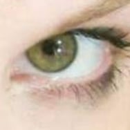 Małgorzata Wasiukiewicz-Rogulska