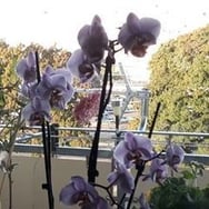 Dorota i Jerzy Ajziuk