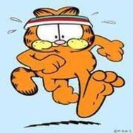Benek Garfield