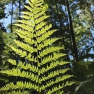 Małgorzata Paprocka