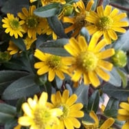 K.Maciaszczyk. kurtka Decathlon 2/3