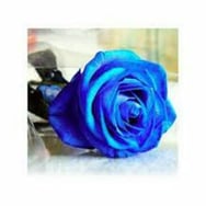 Adriana Łukasiewicz