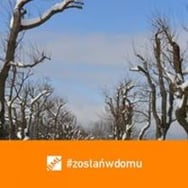 Oldboys Lechia Kostrzyn