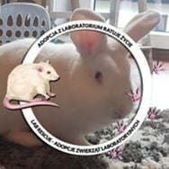 Karolina Łyszkowska