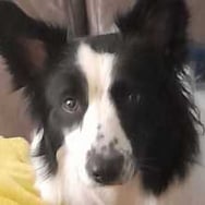 Anonimowa Pomagaczka