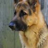 Jacek Ryszard Chlebowski