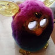 Agnieszka Leoniak-Ignatowicz