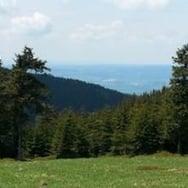 Ewela 7SzMW-golasy:)