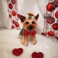 Józef Maria Julia Witkowscy Rotterdam