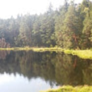 Ewa Topolewska-Siedzik