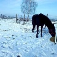 Katarzyna Syrnik książeczki o aniołach