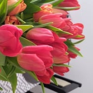 Anonimowa Pomagaczka