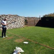 Małgorzata Masternak, magnes Antosia/lew