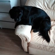 Сергей Красиков