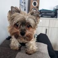 Waldemar Beata Burzak