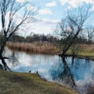 Julita Białorusiewicz