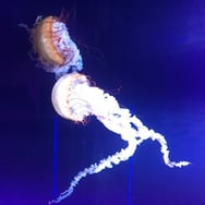 Julia Kołek chlebek ❤️