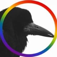 Kamyczki z Parku Przy Bażantarni