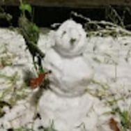 Krzysztof Janiszewski