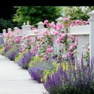 Kasia Ska przepisy babci Beni