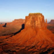 Aldona Kozłowska -drzewko4