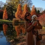 Iwona Kamińska szklany czarny łabędź