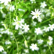 Sklep spożywczo-przemysłowy Leszek Wójcik w Brzozowicy Dużej - skarbonka klientów