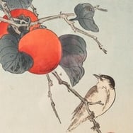 Małgorzata Darczyńca