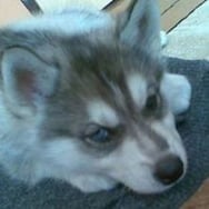 Renata Malinowska Piętoń