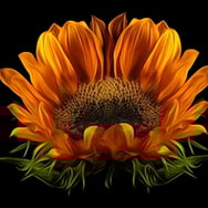 Marianna Gżegżółka