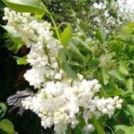 Grzegorz Światkowski