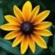 Łukasz Łukasik Bapra