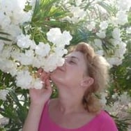 Katarzyna - książka o owadach