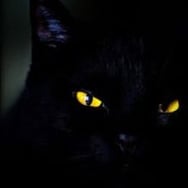 Kasia Katarzyna pandora