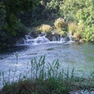 Halina Pieronkiewicz    rodzinny zestaw