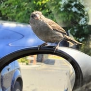 Andrew #lubiepomagac