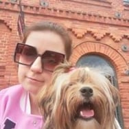 Sylwestrowy darczynca