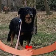 Dorota Kajper-Niezgoda