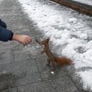 Beata Lisowska Świdzińska