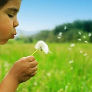 Agata Czajka-Komorowska