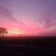 Małgorzata Łyżwińska Mrok południa 25