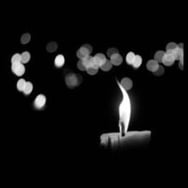 Katarzyna Śpiewanowska