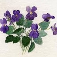 Małgorzata Szymanska