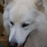 Monika Mariusz Palka