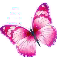 Sami Wybieramy Komu Pomagamy