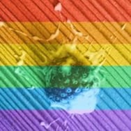 Skrzunia Skrzuniowata