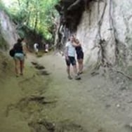 Karolina Dołegowska