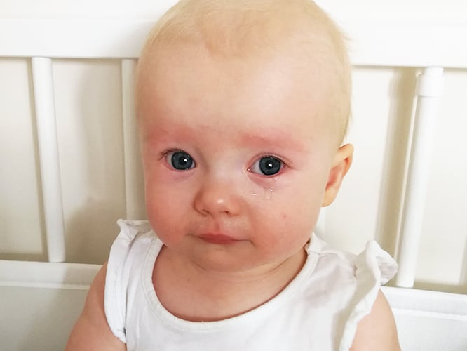 Zosia Pawłowska - zdjęcie główne