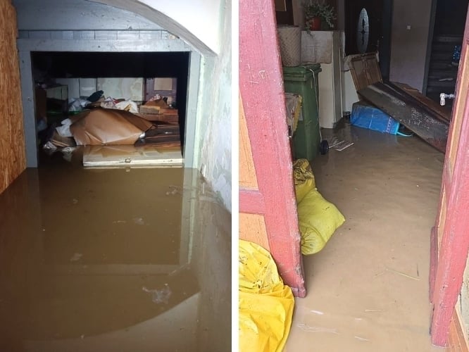 Ewa Sanojca - main photo